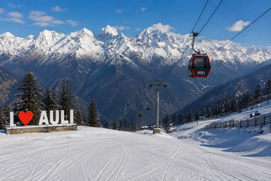Auli