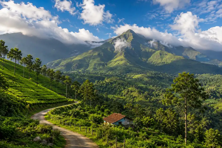 Chikmagalur