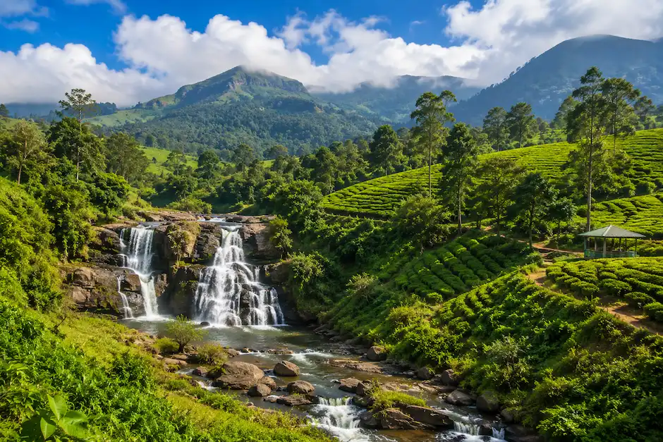 Coorg (Kodagu)