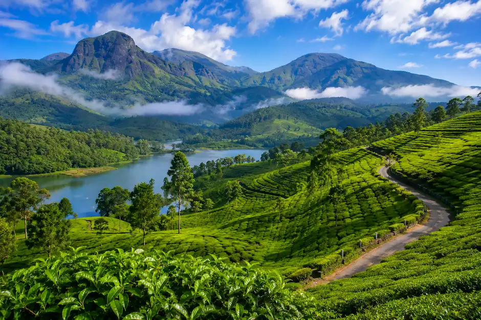 Munnar